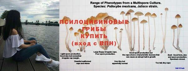 ALPHA PVP Бугульма